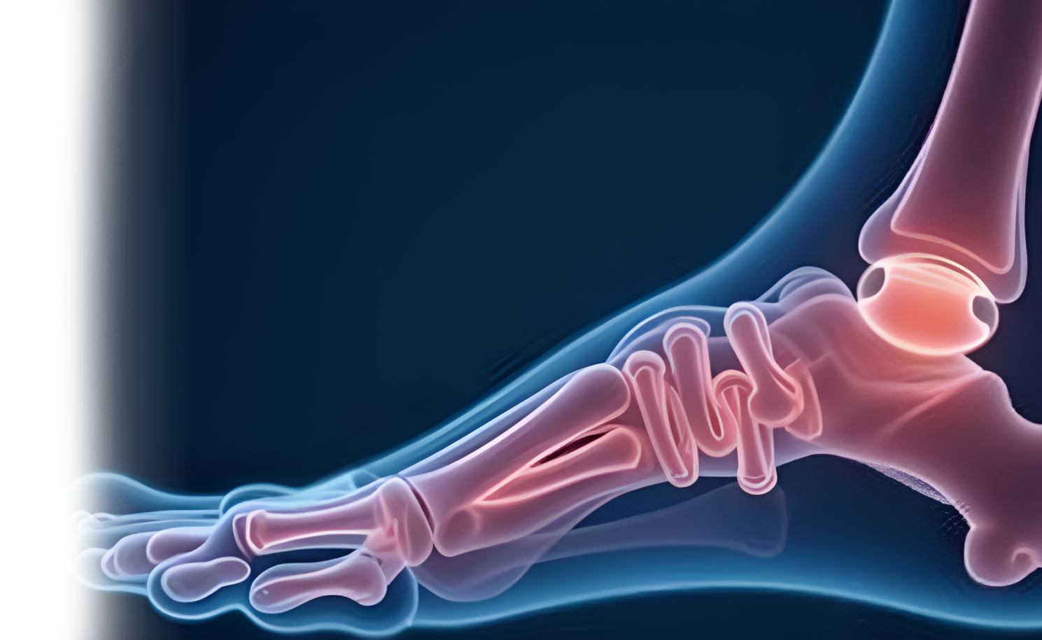 УЗИ мелких суставов стопы