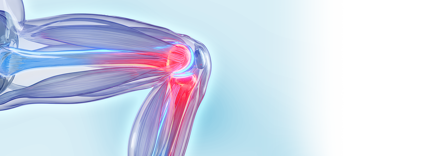 Артроскопия коленного сустава