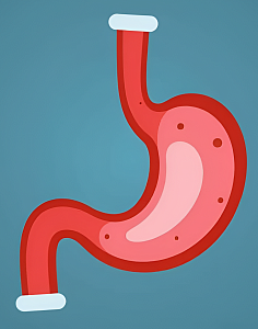 Фундопликация